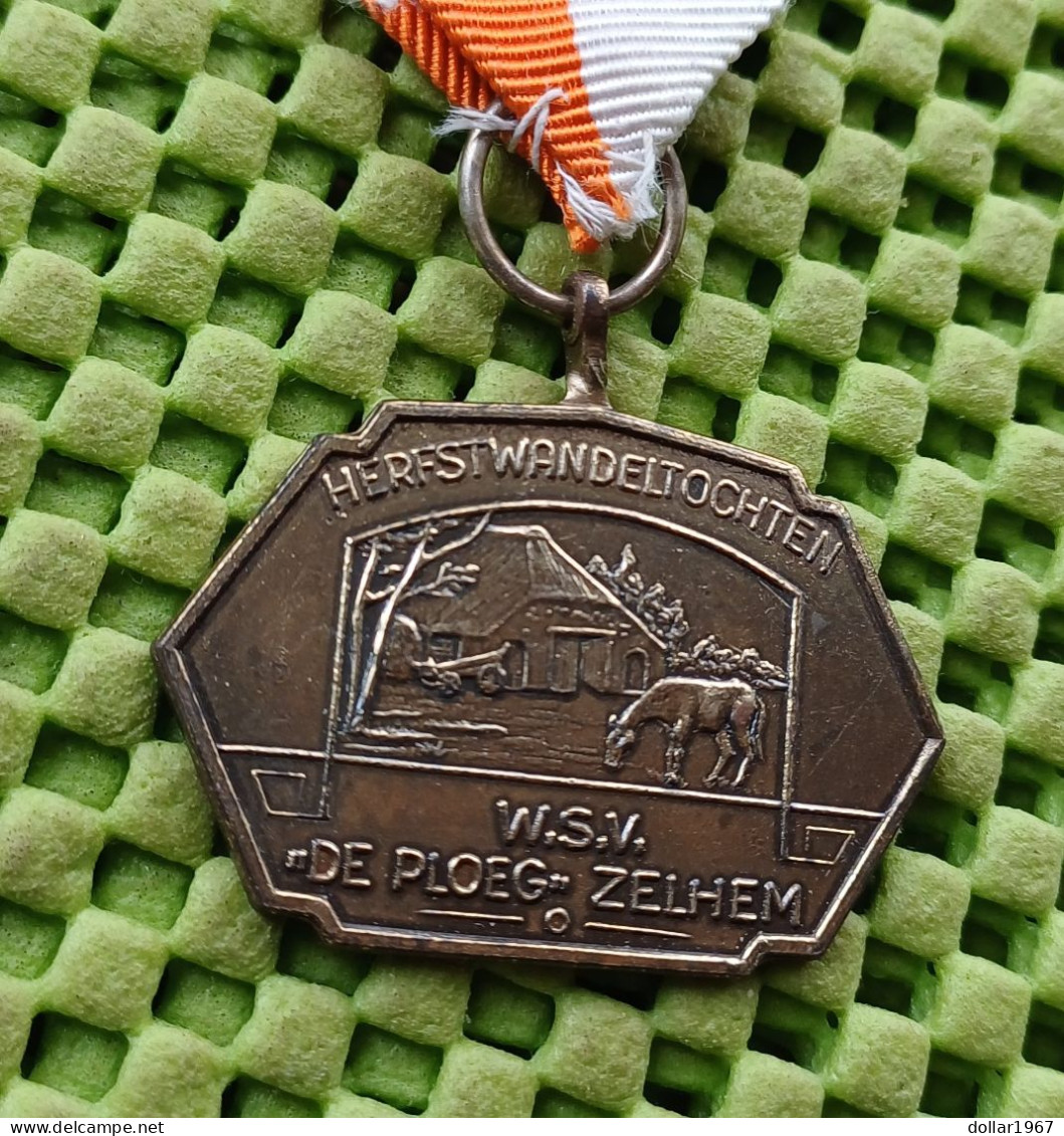 Medaille -    Herfstwandeltochten W.S.V. "De Ploeg " Zelhem .-  Original Foto  !! - Other & Unclassified