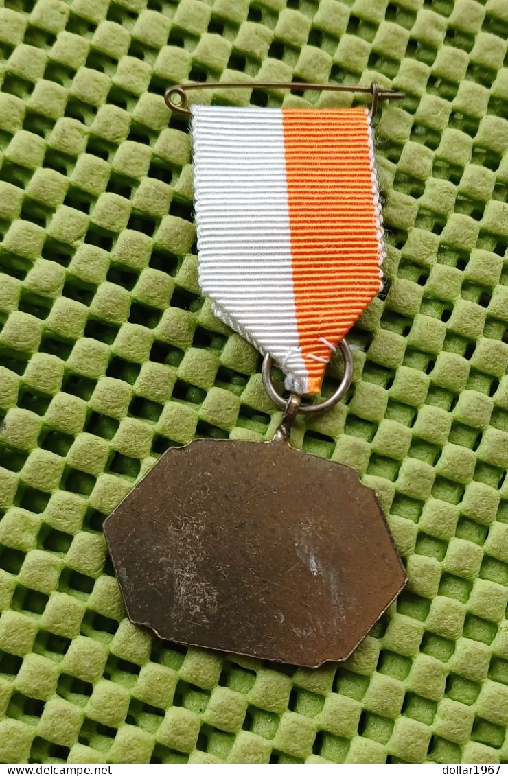 Medaille -    Herfstwandeltochten W.S.V. "De Ploeg " Zelhem .-  Original Foto  !! - Sonstige & Ohne Zuordnung