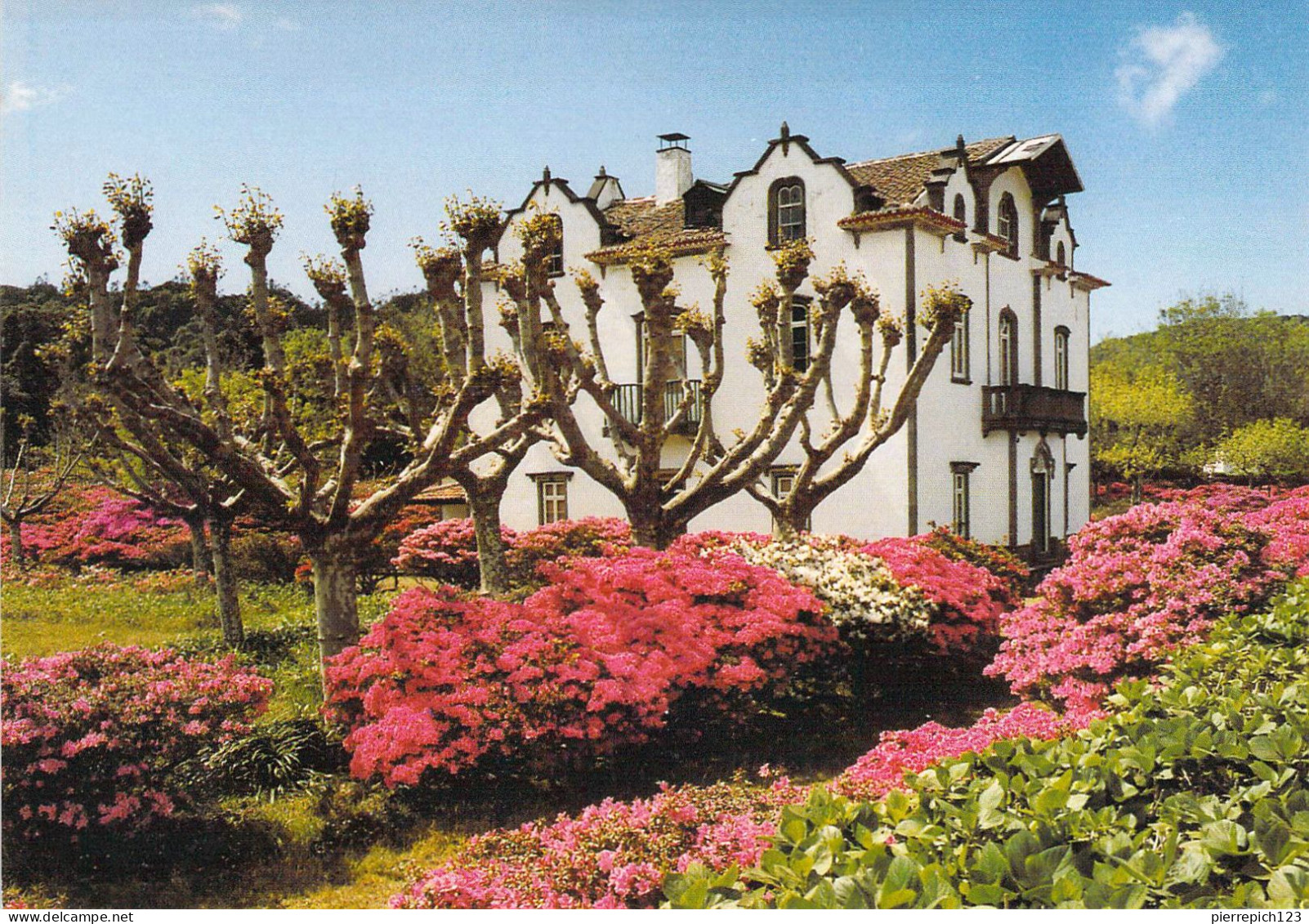 Sao Miguel - Manoir, Ses Jardins Et Ses Azalées En Fleur - Açores