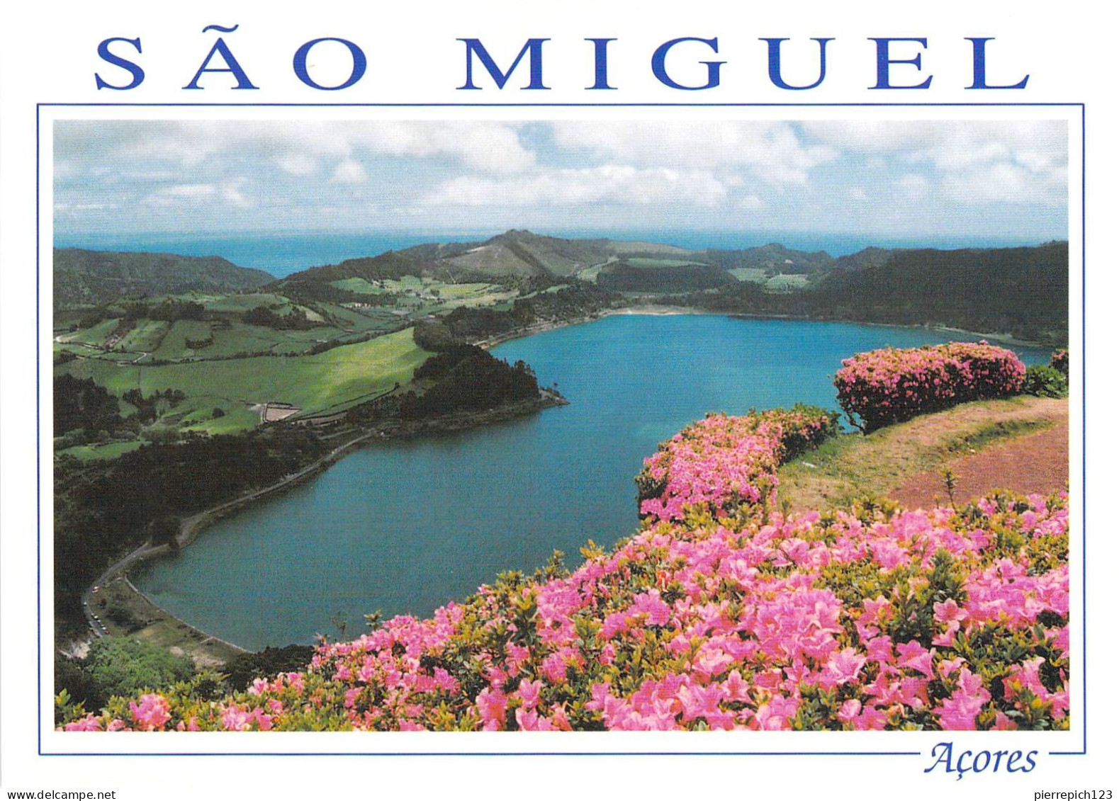 Sao Miguel - Furnas - Lac Et Azalées En Fleur - Açores