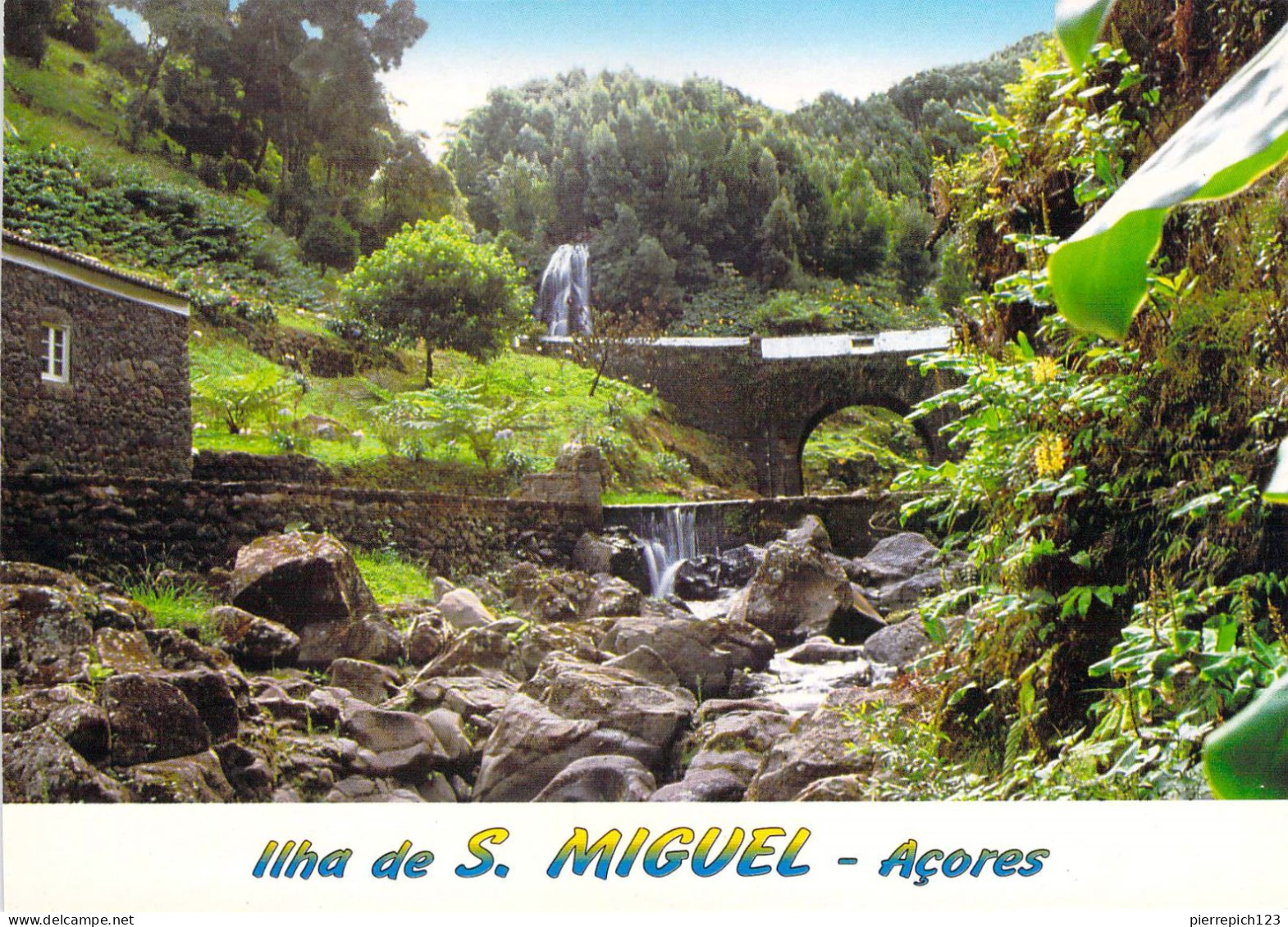 Ile De Sao Miguel - Nordeste - Parc Naturel De Ribeira Dos Caldeiroes - Açores