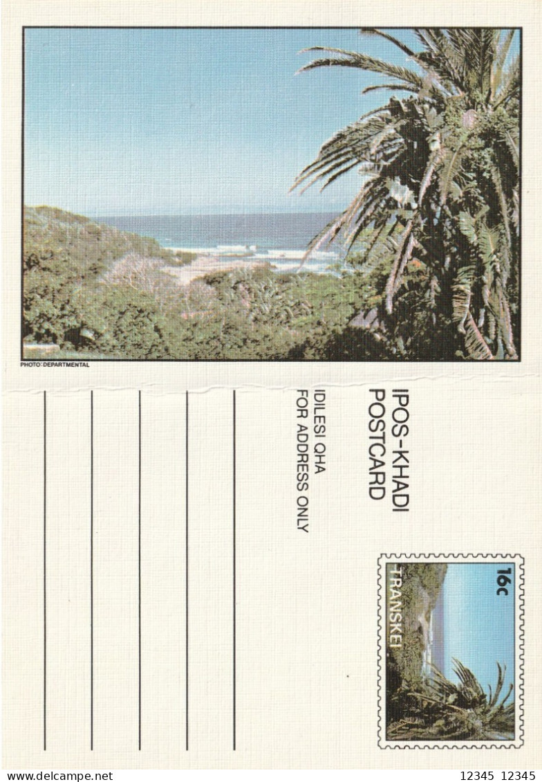 Transkei, Unused Postcard (With Fold) - Transkei