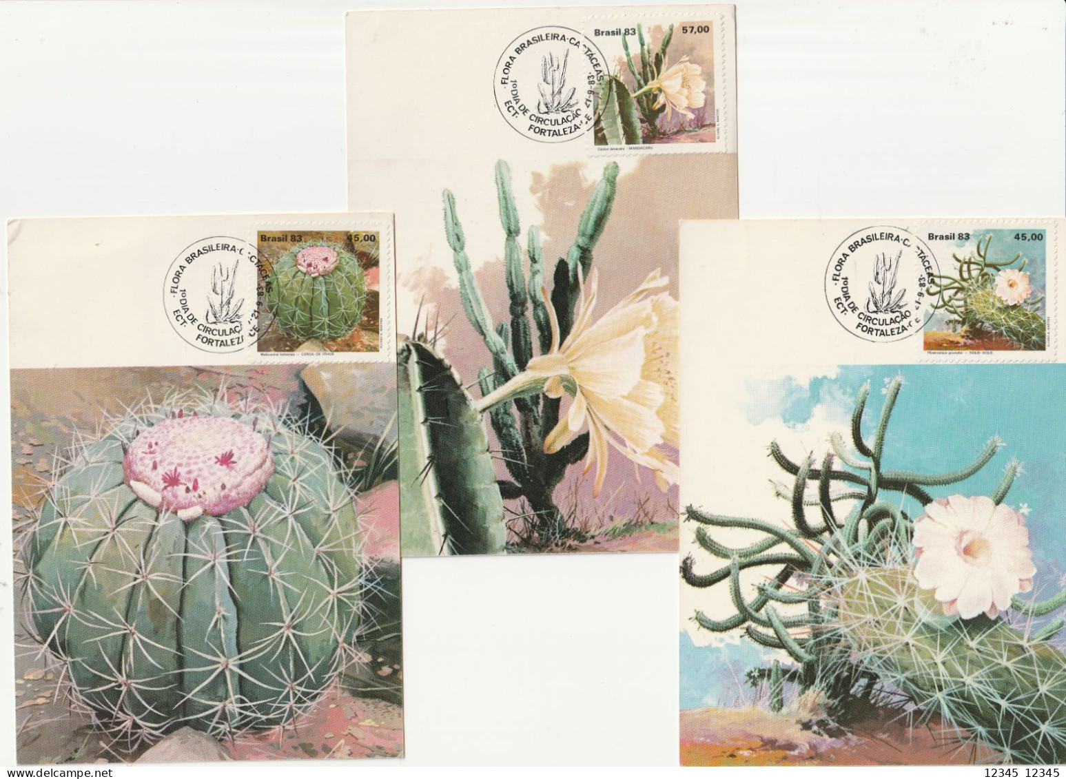 Brazilië 1983, Cacti - Tarjetas – Máxima