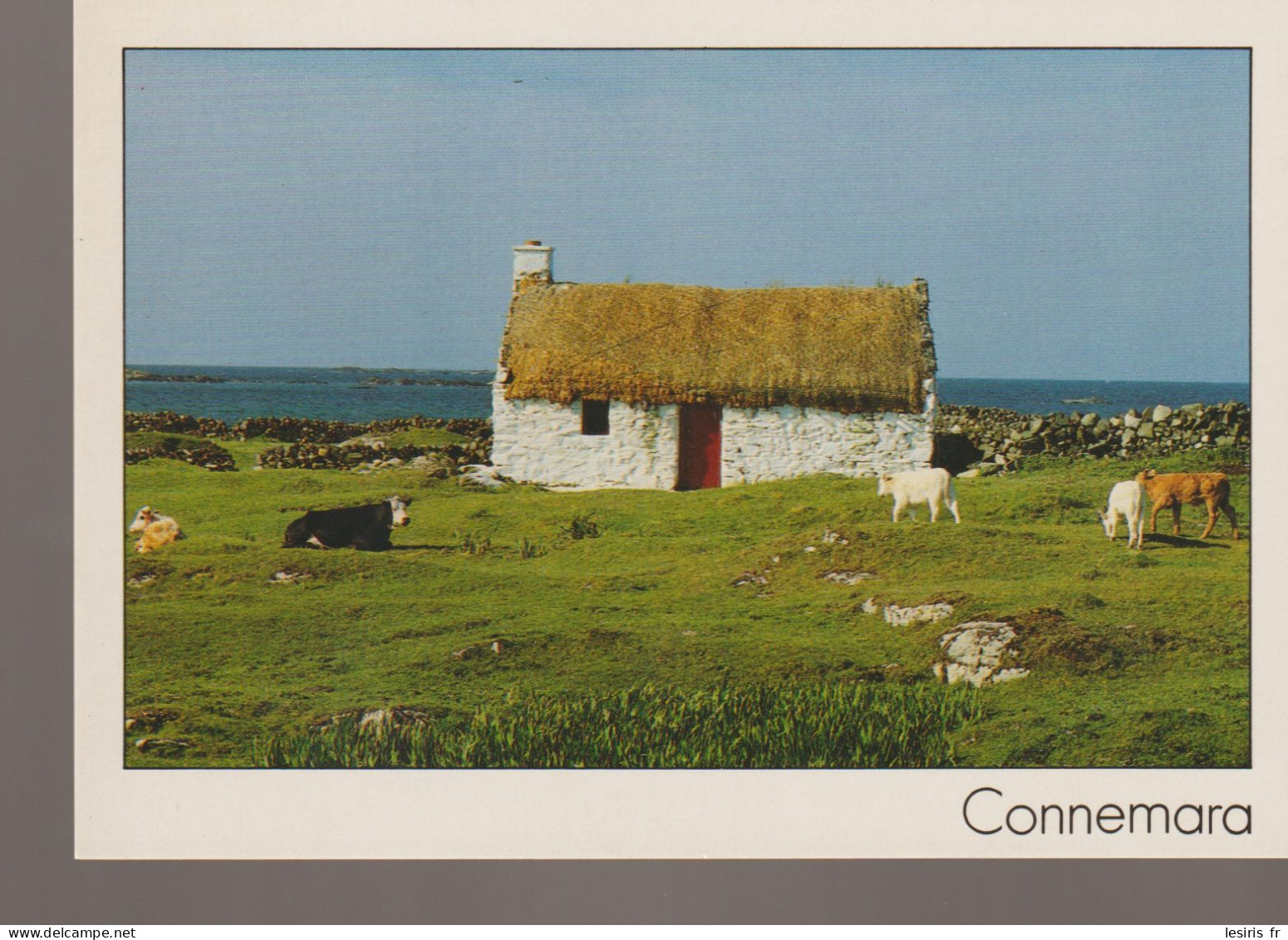 C.P. -  PHOTO - CONNEMARA - PETER ZOLLER - SP 60 - INSIGHT - Galway