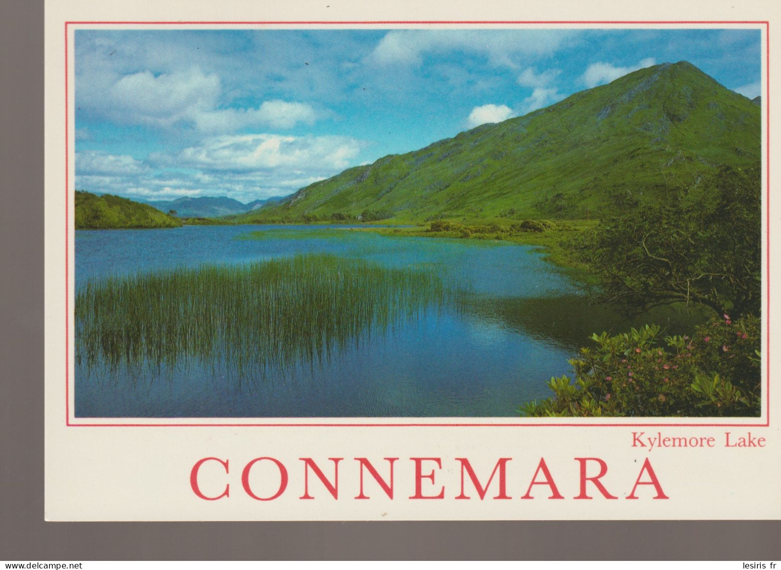 C.P. -  PHOTO - CONNEMARA - KYLEMORE LAKE - PETER O'TOOLE - 2/688 - JOHN HINDE - Galway