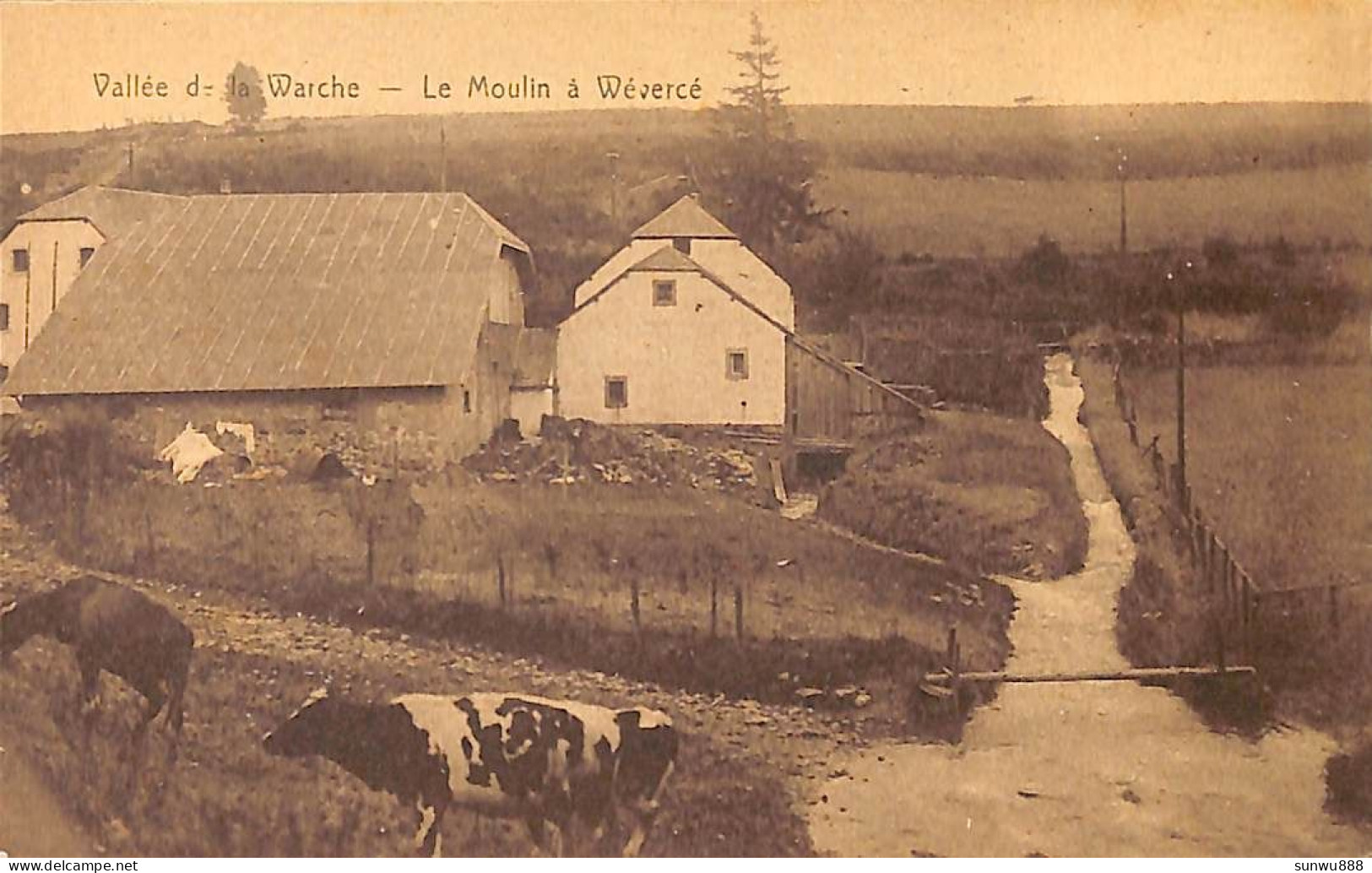 Vallée De La Warche - Le Moulin à Wévercé (vaches En Gros Plan, Edit. Fl. Robert, Coiffeur) - Bütgenbach