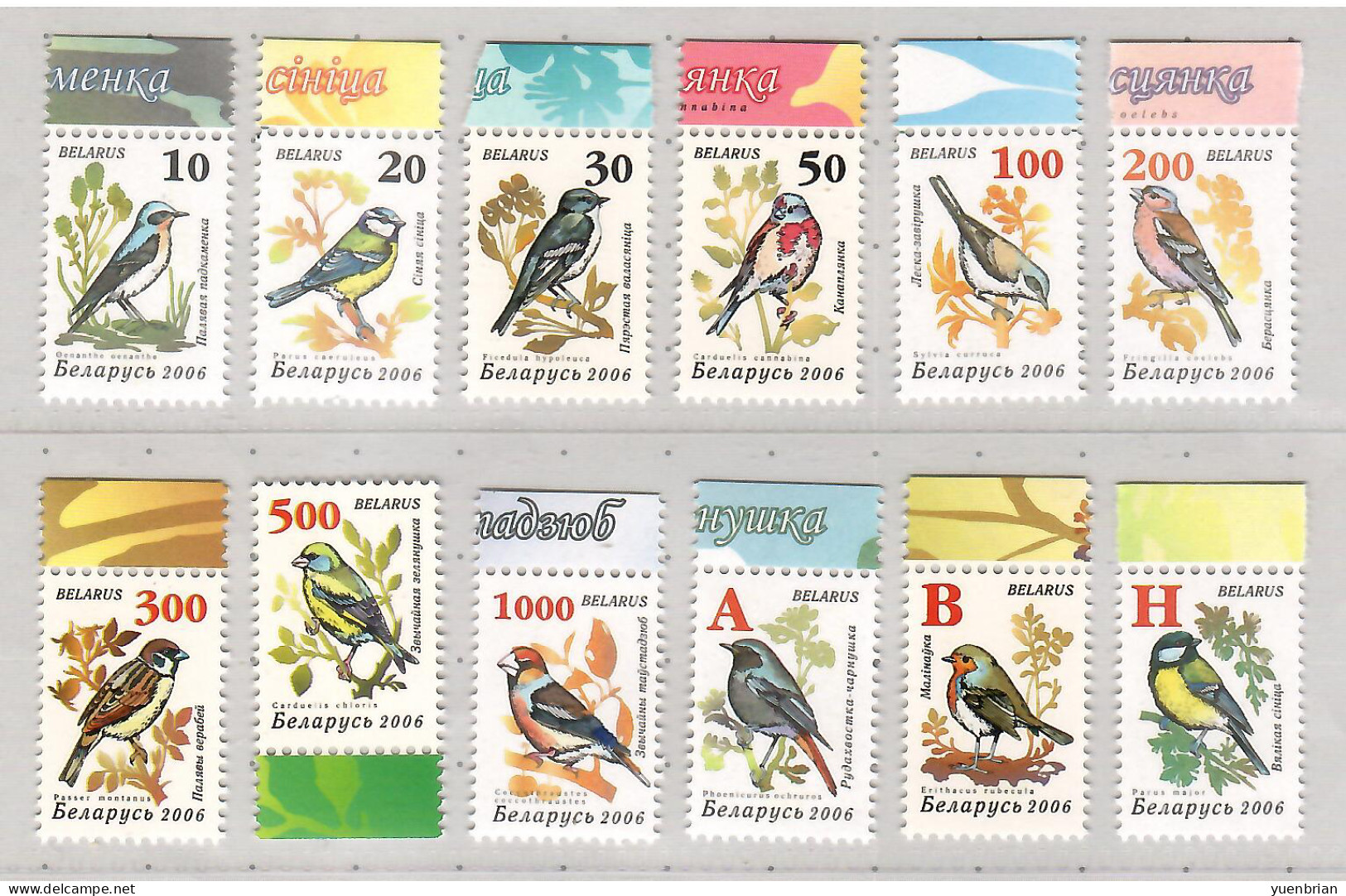 Belarus 2006, Bird, Birds, Sparrow, Set Of 12v, MNH** - Cernícalo