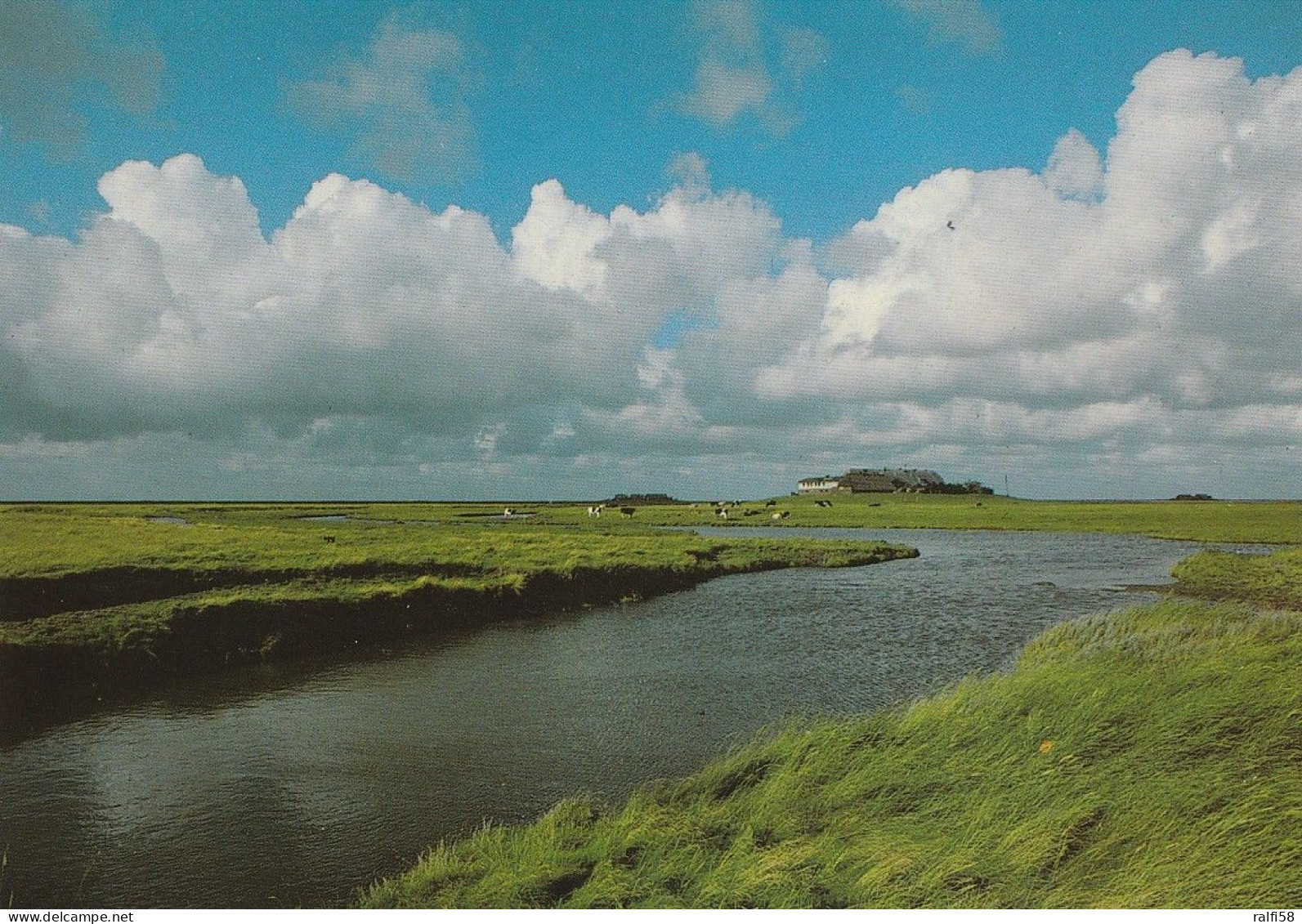 1 AK Germany / Schleswig-Holstein * Die Hallig Langeness * - Halligen