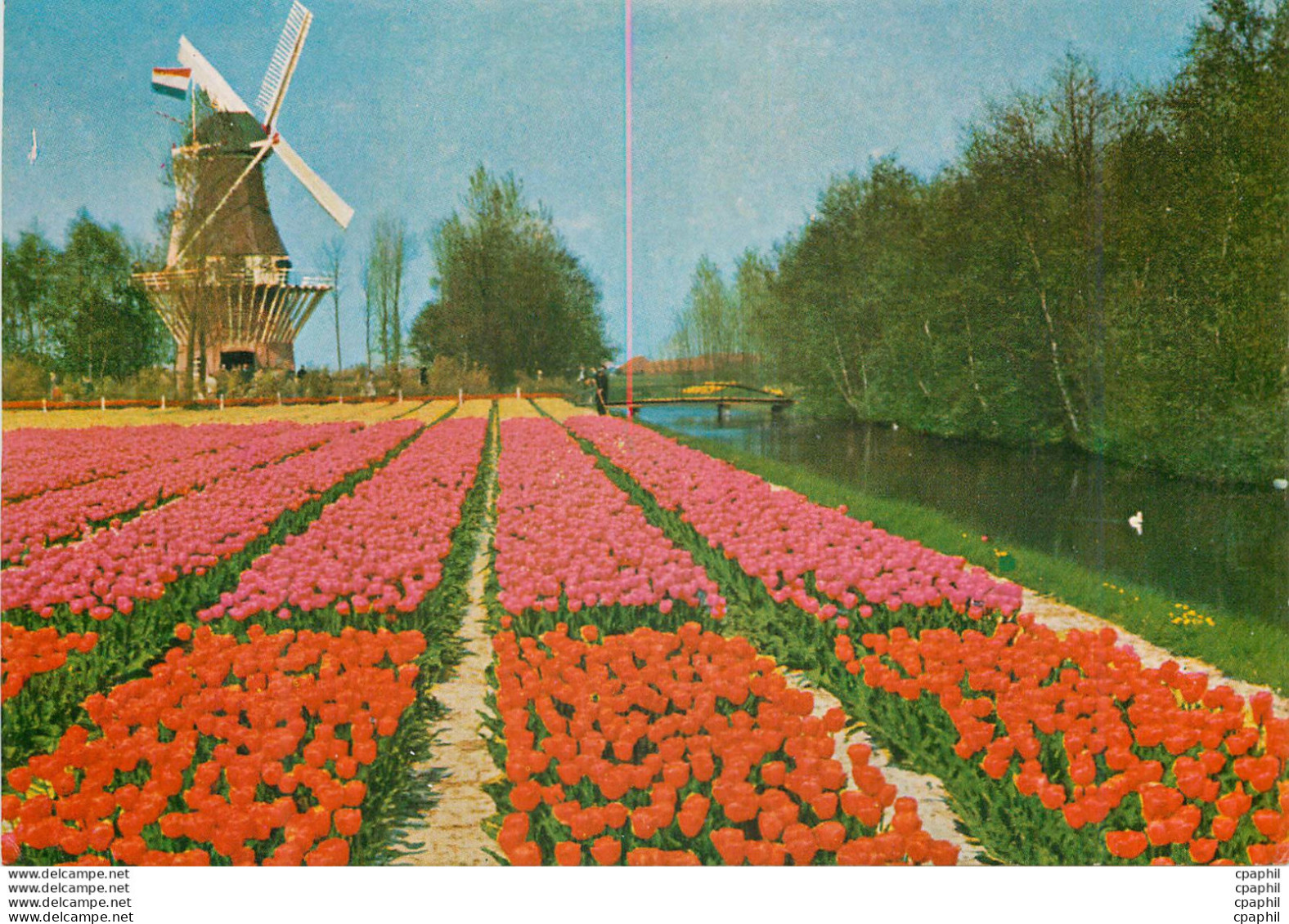 CPM Keukenhof Lisse Holland - Lisse