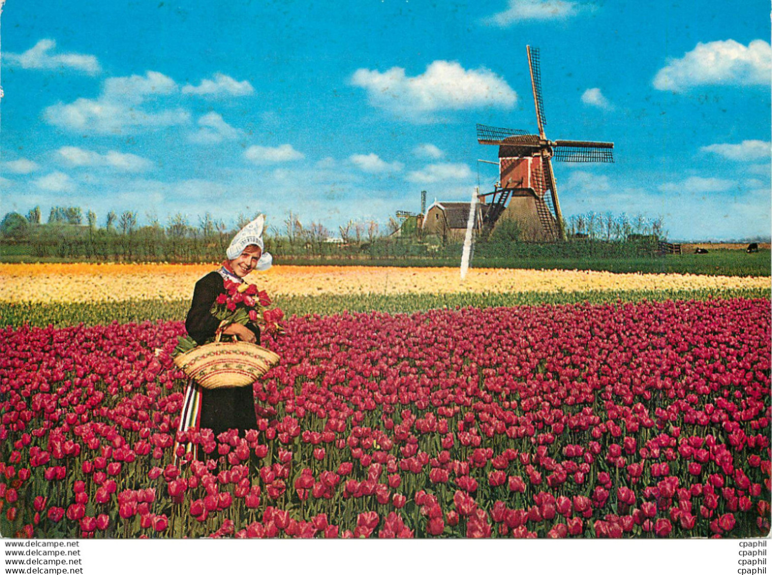 CPM Holland Land Of Flowers And Wind Mille - Lisse