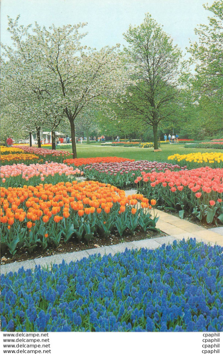 CPM Keukenhof Lisse Holland - Lisse