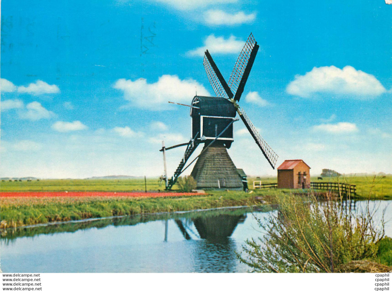 CPM Holland Molenland Land Of Windmill Moulin A Vent - Erythrée