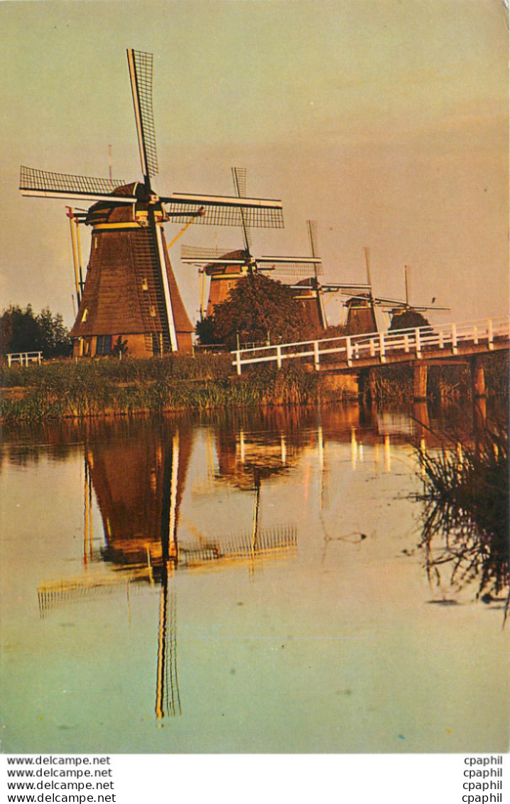 CPM Dutch Windmill Kinderdijk Moulin A Vent - Kinderdijk