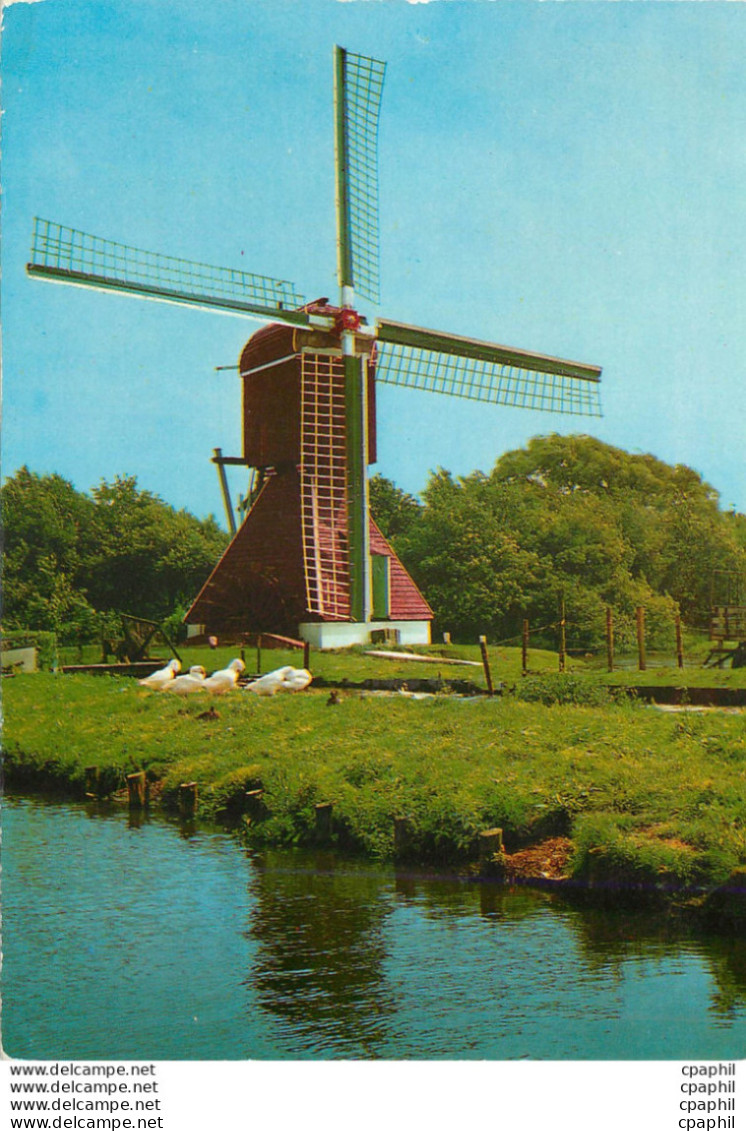 CPM Holland Land Of Windmills Moulin A Vent - Erythrée