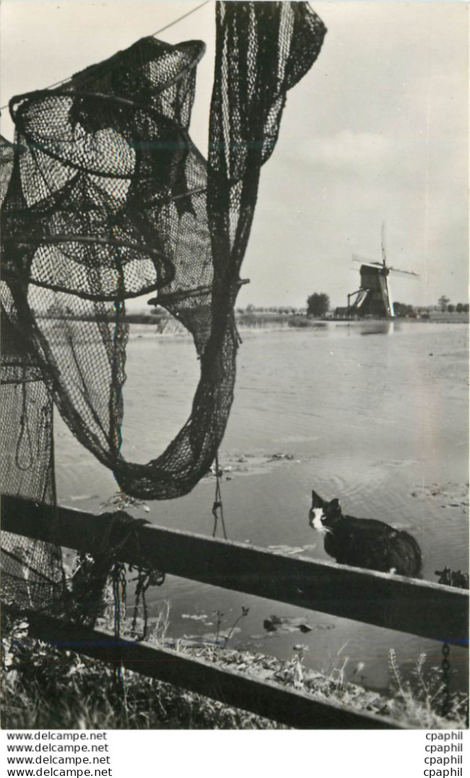 CPM Hollands Molenlandschap - Erythrée