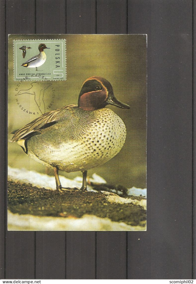 Canards ( CM De Pologne De 1985 à Voir) - Canards