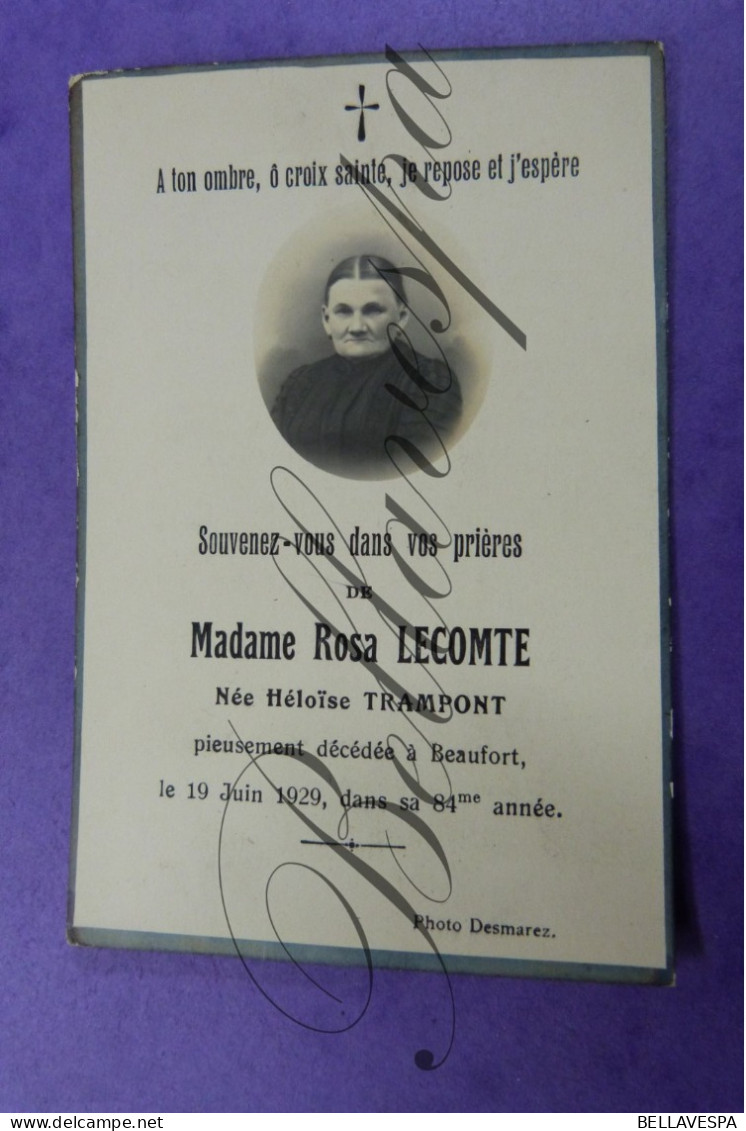 Rosa LECOMTE Née Héloïse TRAMPONT BEAUFORT  1929 - Overpelt