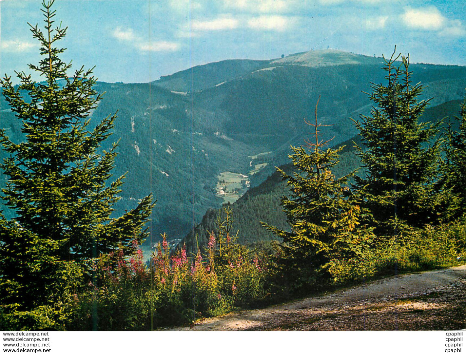 CPM Feldbergblick - Hochschwarzwald