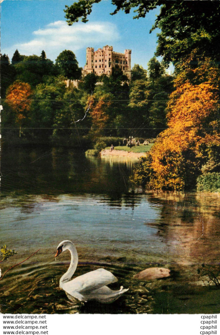 CPM Konigsschloss Cygne - Höchenschwand