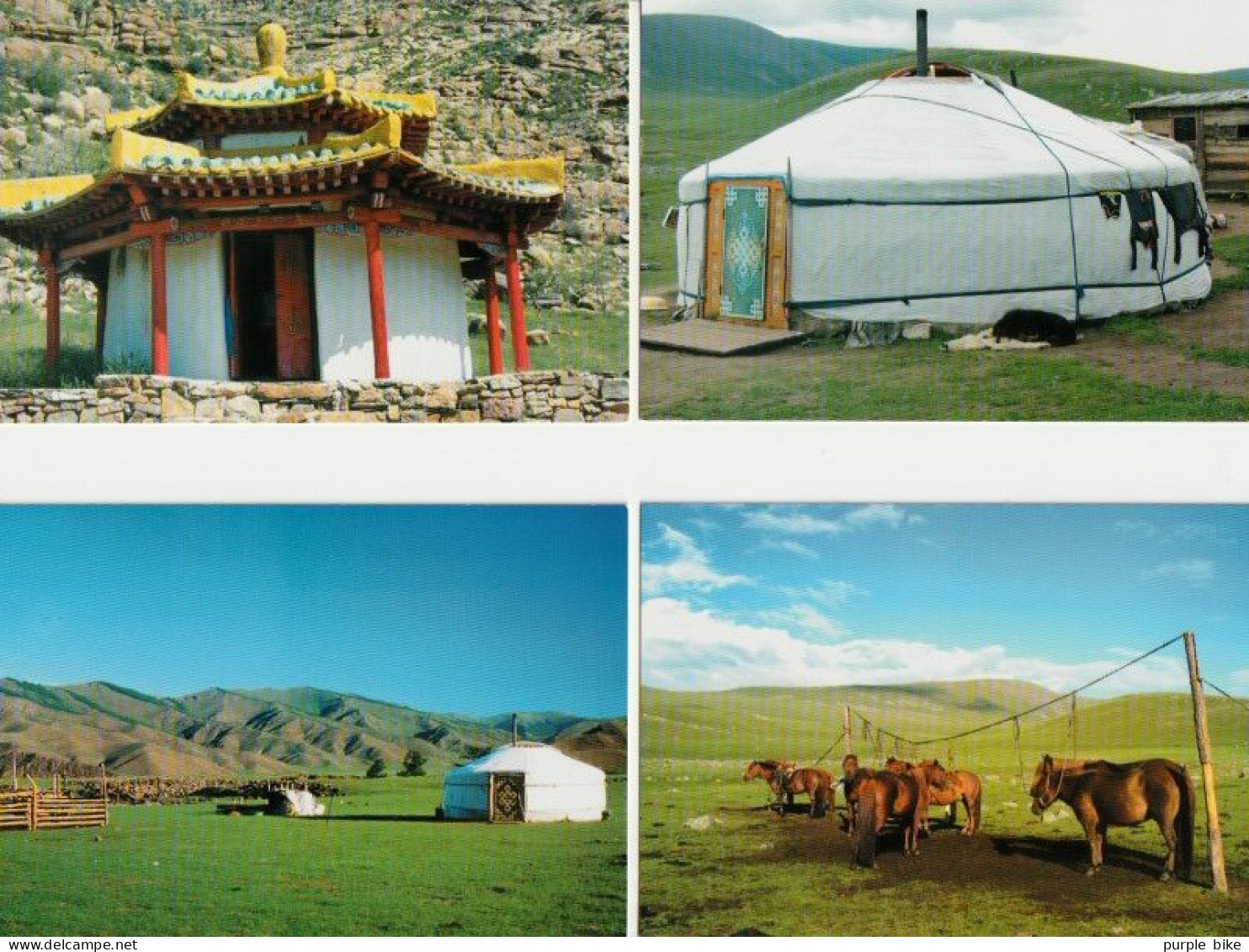 MONGOLIE Lot 5 Action Urgence Un Hiver  CPSM TBE - Mongolia