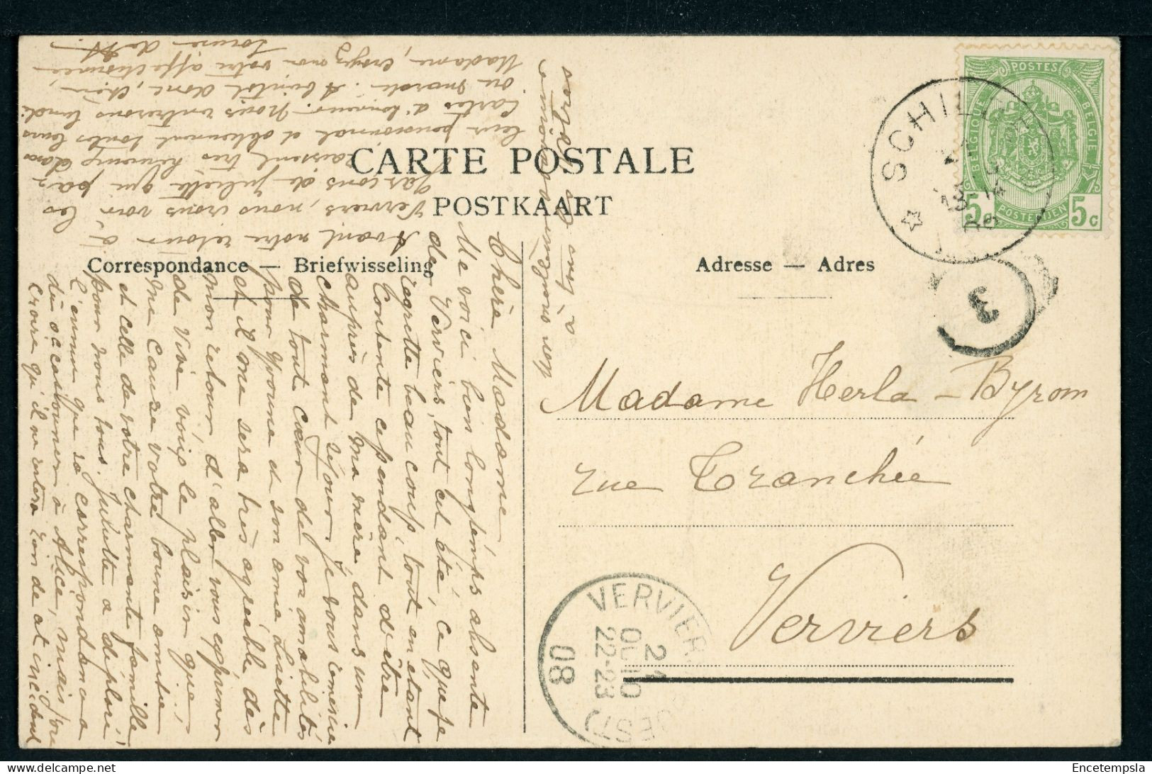 CPA - Carte Postale - Belgique - Schilde - Zicht In De Bosschen (CP24175OK) - Schilde