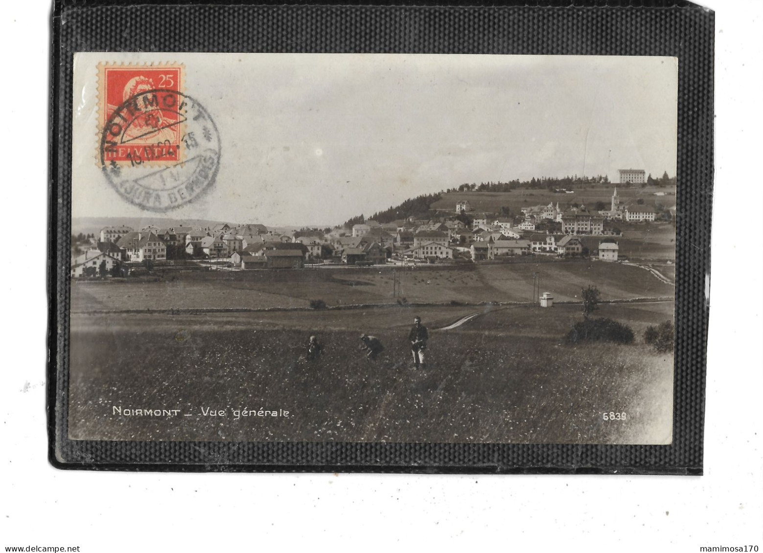 Europe-Suisse- NOIRMONT -( Jura ) -Une Vue Générale Du Village-Eécolte De FLEURS - Autres & Non Classés