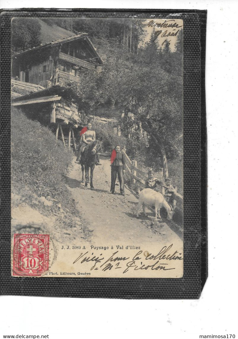 Europe-Suisse- VAL-D'ILLIEZ- Une Vue Animée D'un CHALET De MONTAGNE- Attelage- Chévre- - Val-d'Illiez 