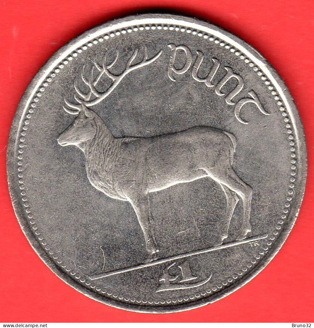 IRLANDA - IRELAND - EIRE - 1998 - 1 Pound - QFDC/aUNC - Come Da Foto - Irlande