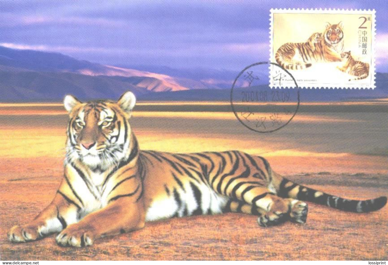 China:Maxi Card, South China Tiger, 2004 - Tigri