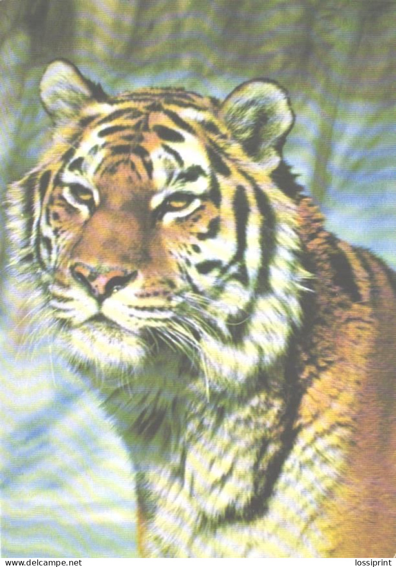 Ussuri Tiger, 1988 - Tigres