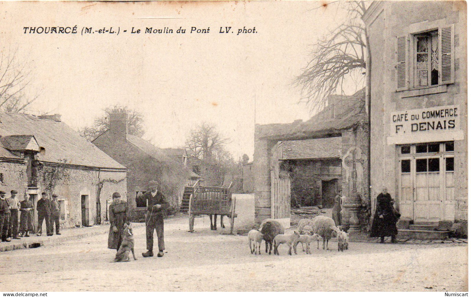 Thouarcé Animée Moulin Du Pont Café Du Commerce F. Denais Moutons - Thouarce