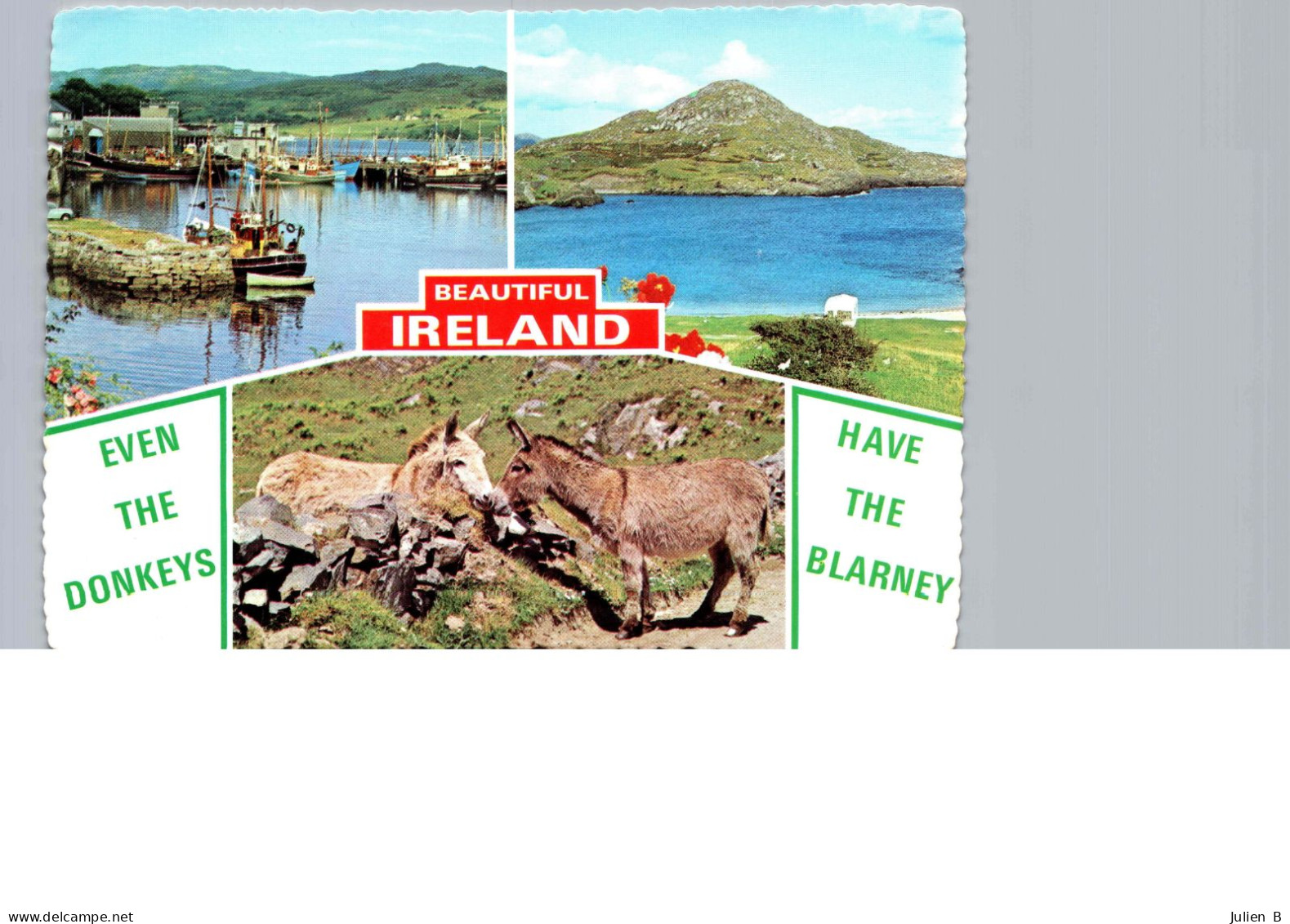 Even The Donkeys Have The Blarney - Other & Unclassified