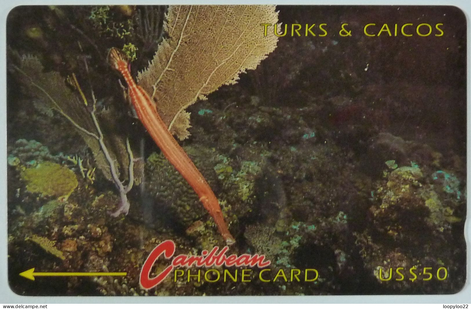 TURKS & CAICOS - GPT - 1CTCA - $50 - Trumpet Fish - Turks & Caicos (I. Turques Et Caïques)