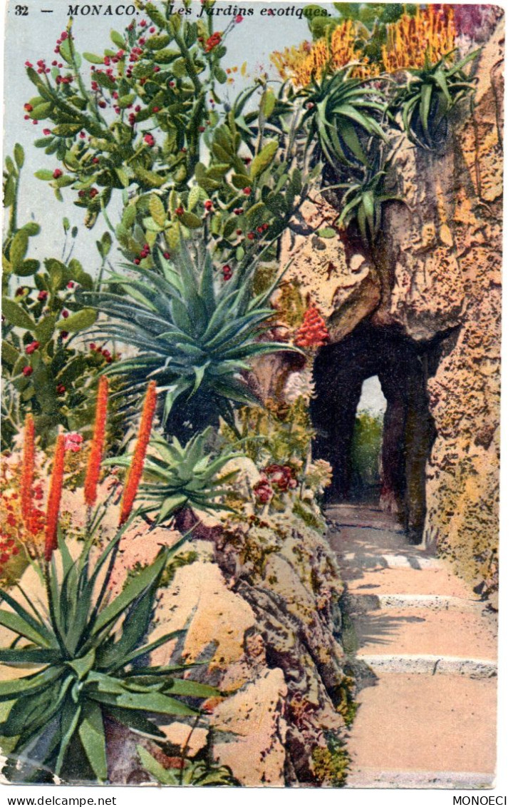 MONACO -- MONTE CARLO -- CPA Taxée -- Le  Jardin Exotique - Exotic Garden