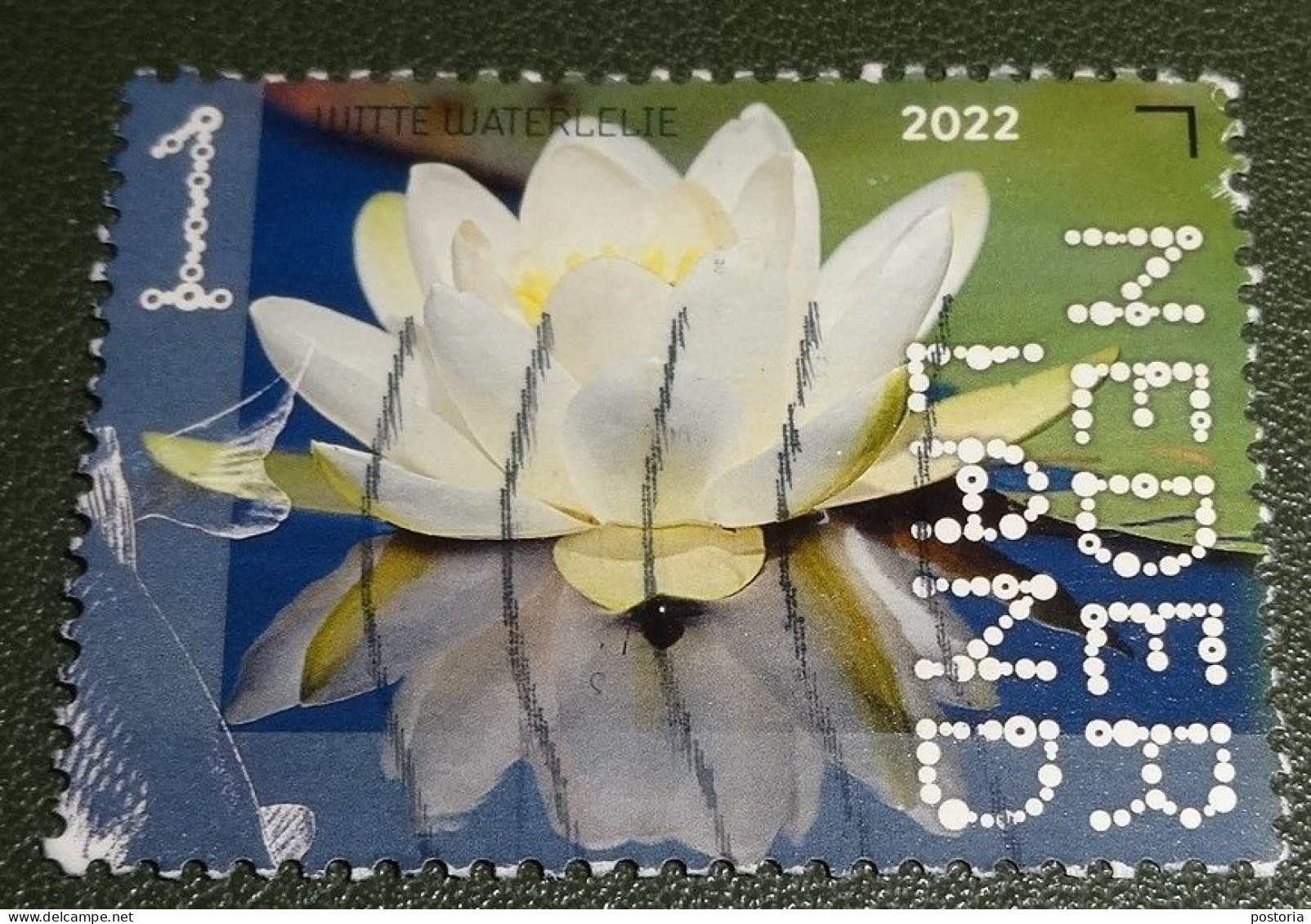 Nederland - NVPH - 4010 - 2022 - Gebruikt - Used - Beleef De Natuur - Witte Waterlelie - Oblitérés