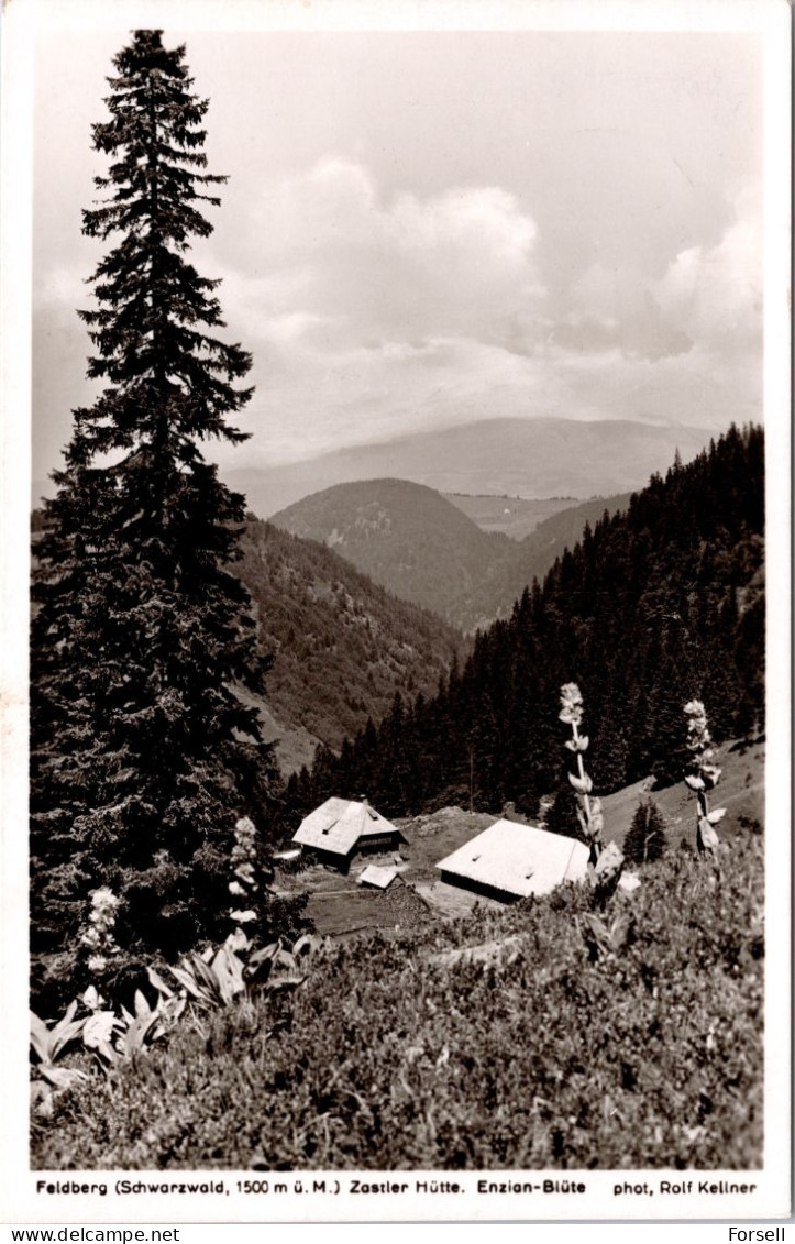 Feldberg , Zastler Hütte (Bahnpost Stempel: Konstanz-Basel 1937) - Feldberg