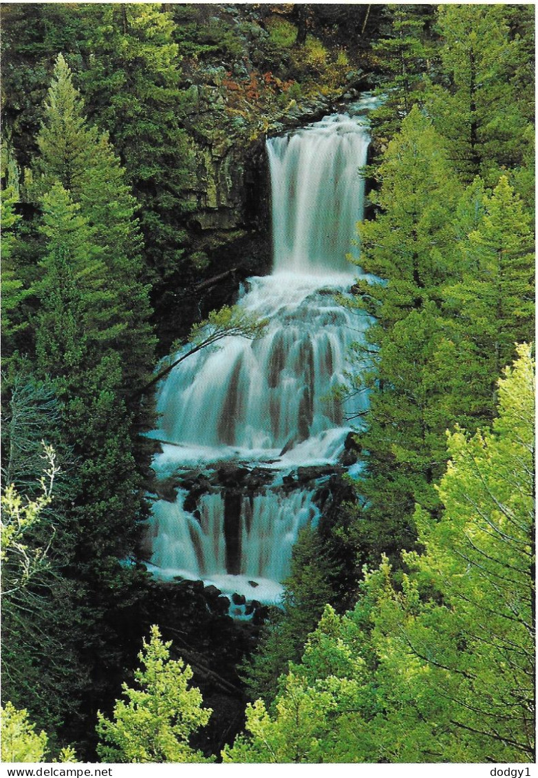 UNDINE FALLS, YELLOWSTONE NATIONAL PARK, WYOMING, UNITED STATES. UNUSED POSTCARD   Ag6 - Yellowstone