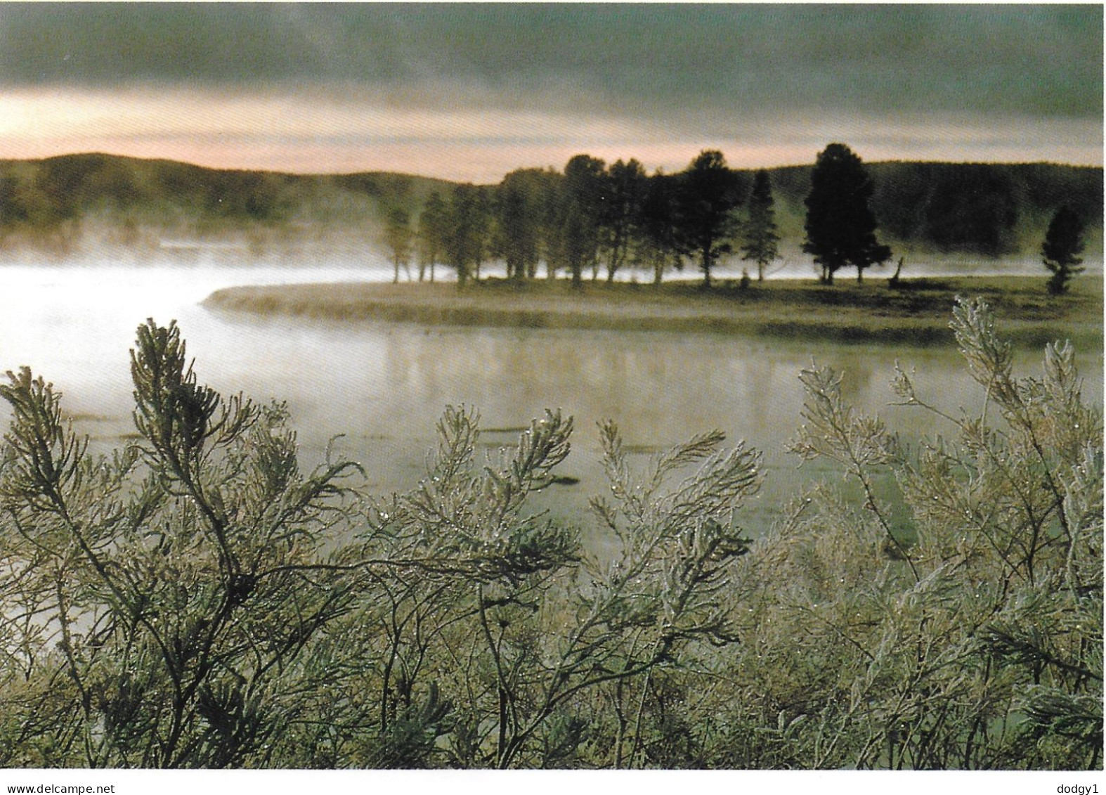 HAYDEN VALLEY, YELLOWSTONE NATIONAL PARK, WYOMING, UNITED STATES. UNUSED POSTCARD   Ac9 - Yellowstone