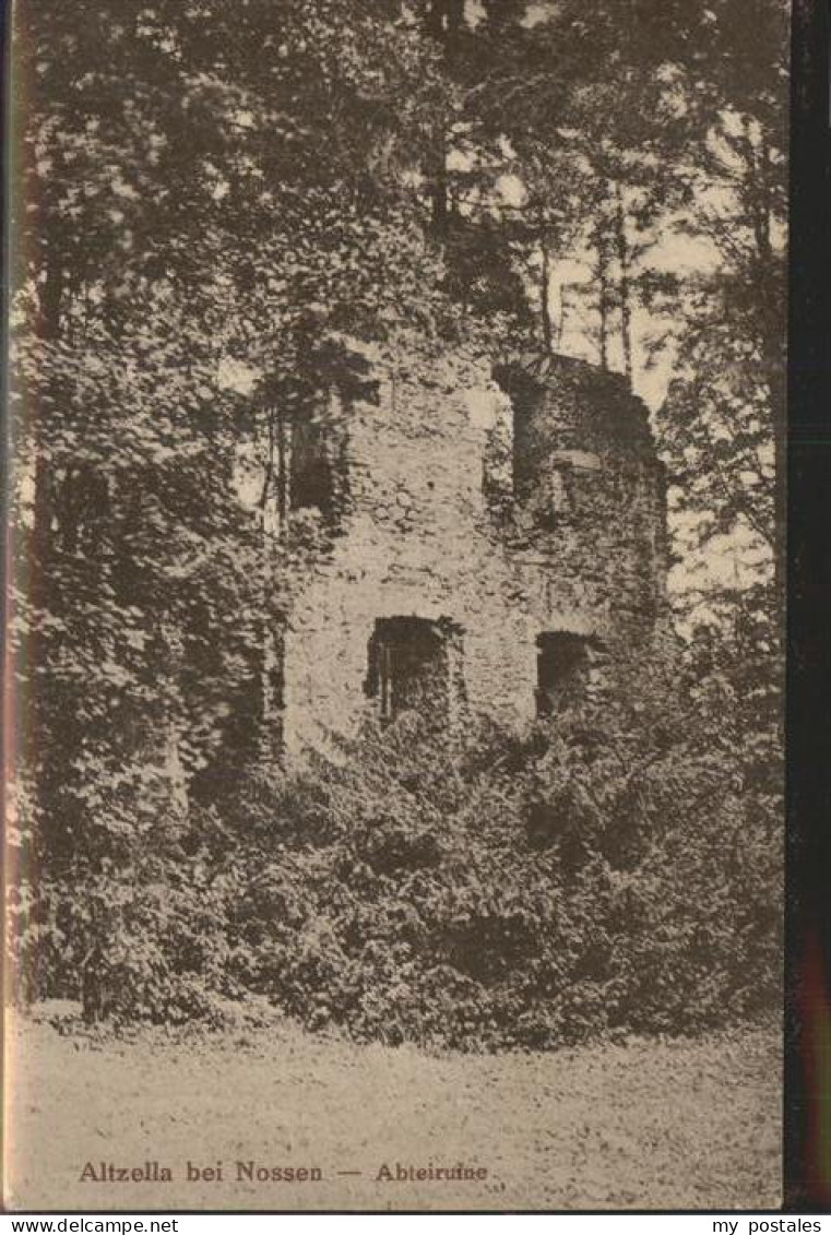 41302017 Nossen Abtei Ruine Des Klosters Altzella Nossen - Nossen