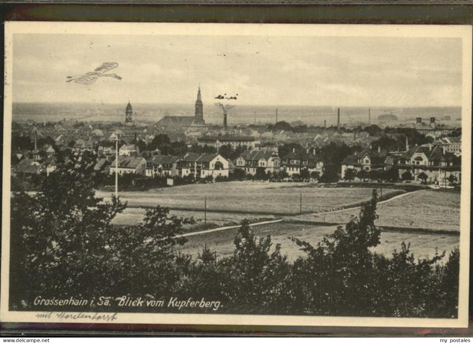 41301824 Grossenhain Sachsen Blick Vom Kupferberg Grossenhain - Grossenhain