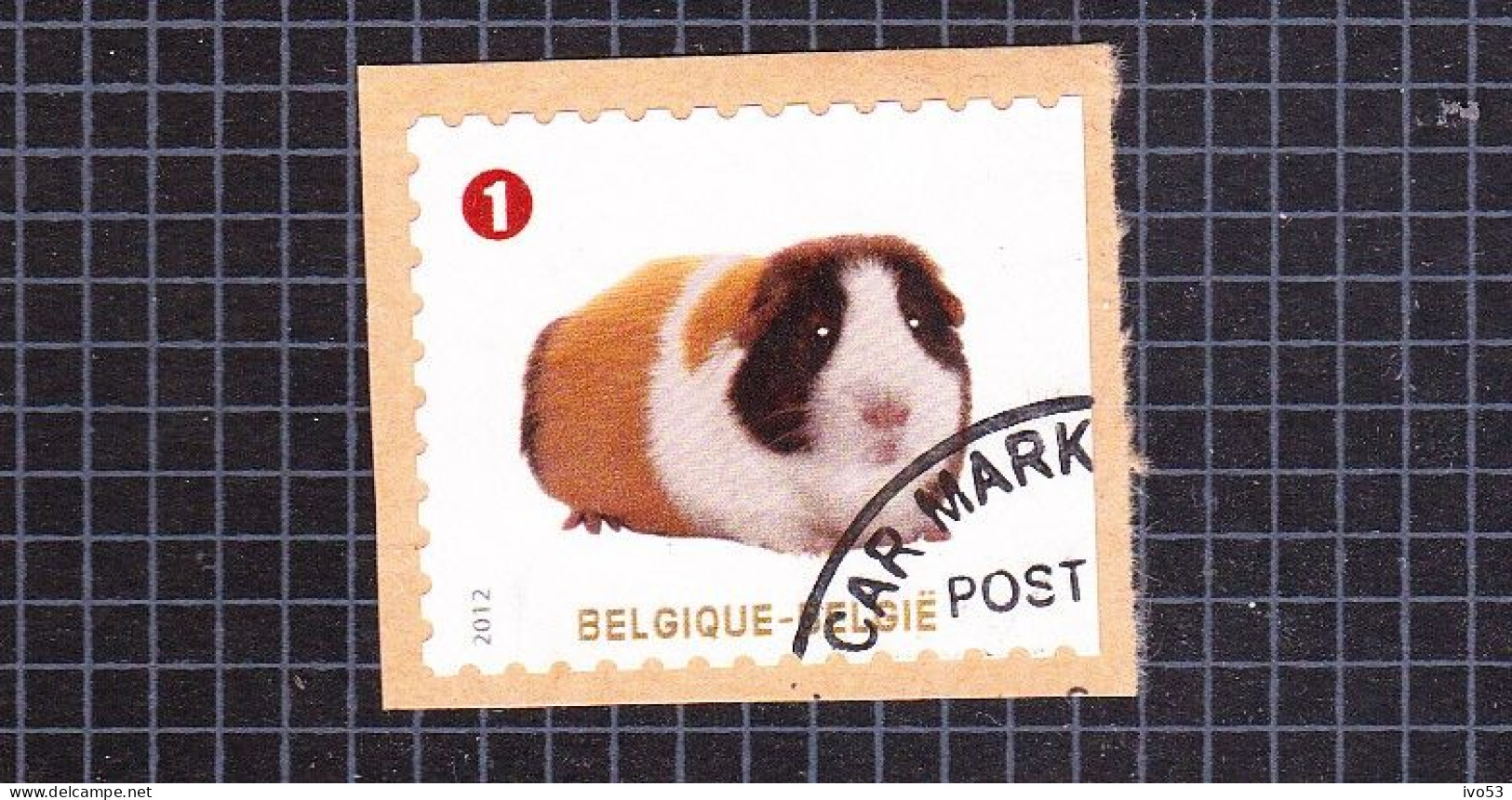 2012 Nr 4231 Gestempeld Op Fragment,zegel Uit Boekje B128.Gezelschapsdieren / Animaux De Compagnie. - Used Stamps