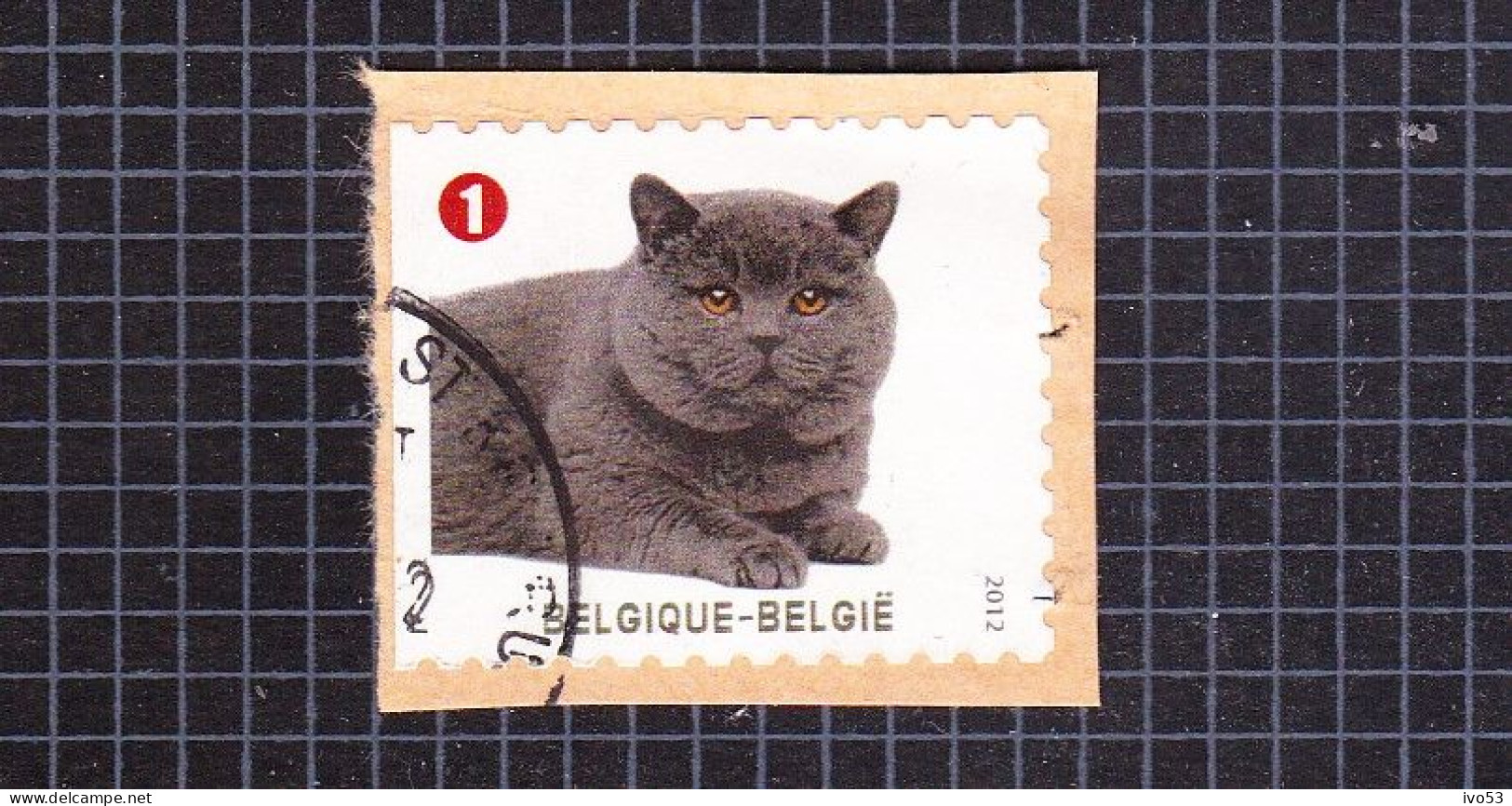 2012 Nr 4232 Gestempeld Op Fragment,zegel Uit Boekje B128.Gezelschapsdieren / Animaux De Compagnie. - Used Stamps