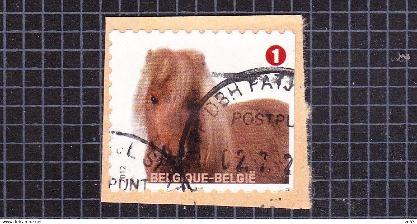 2012 Nr 4235 Gestempeld Op Fragment,zegel Uit Boekje B128.Gezelschapsdieren / Animaux De Compagnie. - Used Stamps