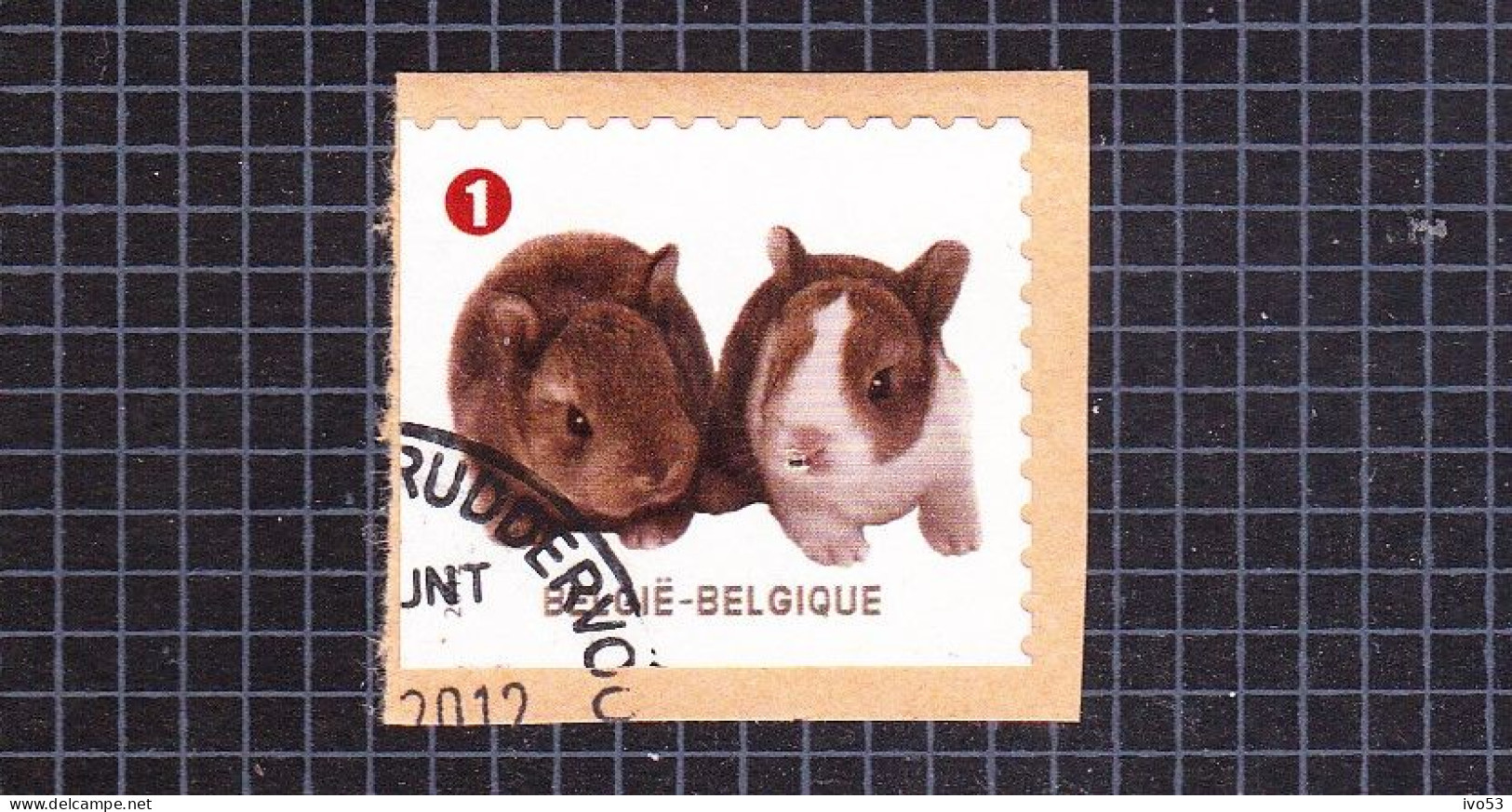 2012 Nr 4238 Gestempeld Op Fragment,zegel Uit Boekje B128.Gezelschapsdieren / Animaux De Compagnie. - Used Stamps