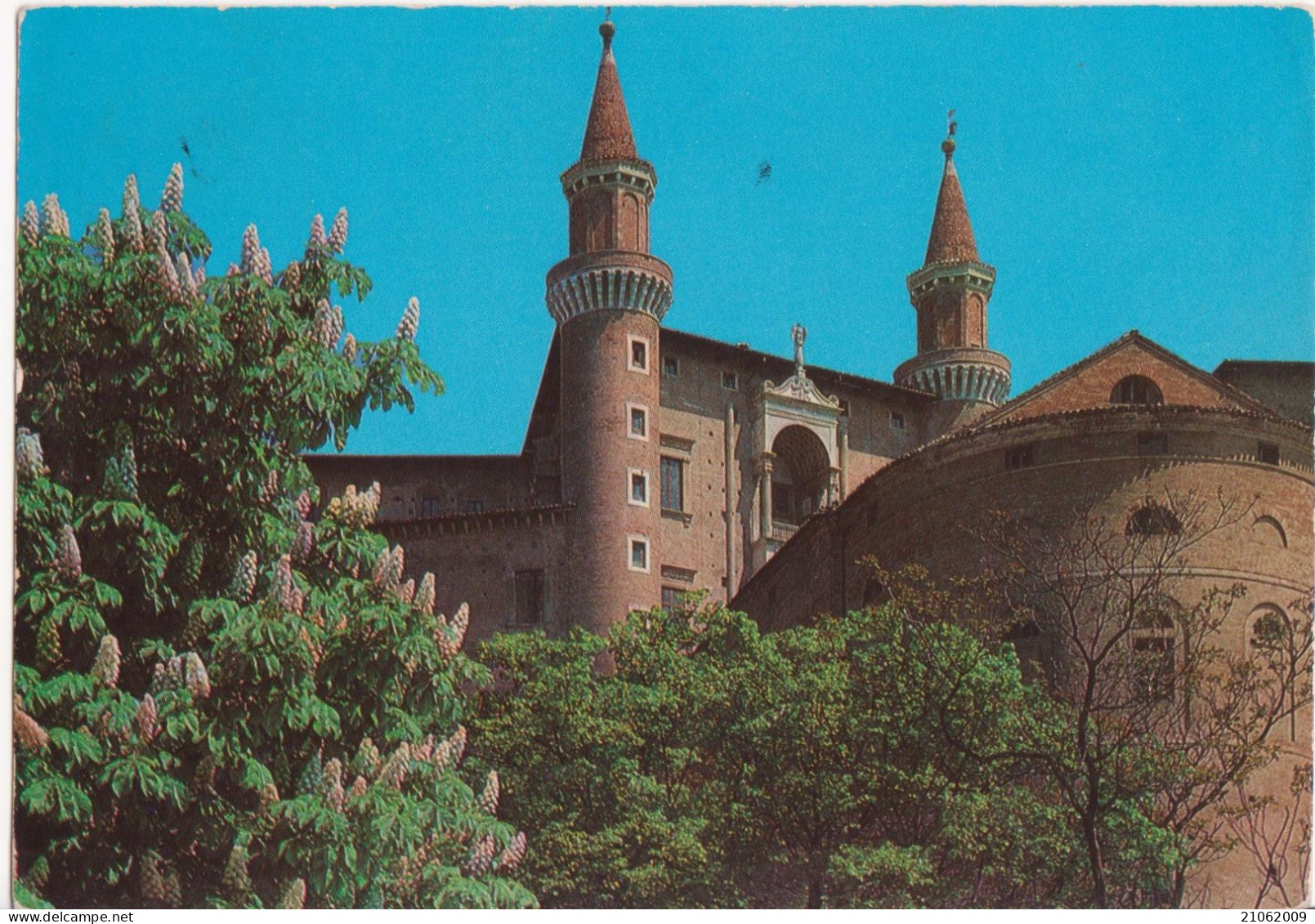 URBINO - PALAZZO DUCALE CON SCORCIO DEI TORRICINI - VIAGGIATA - Urbino