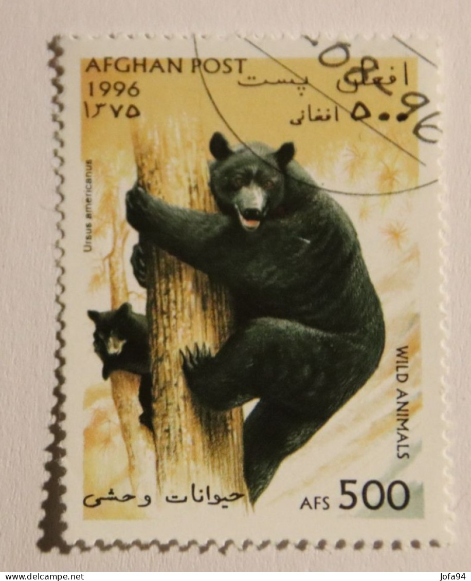 AFGHANISTAN 1996 Ours Noir Ursus Americanus Oblitéré - Afghanistan