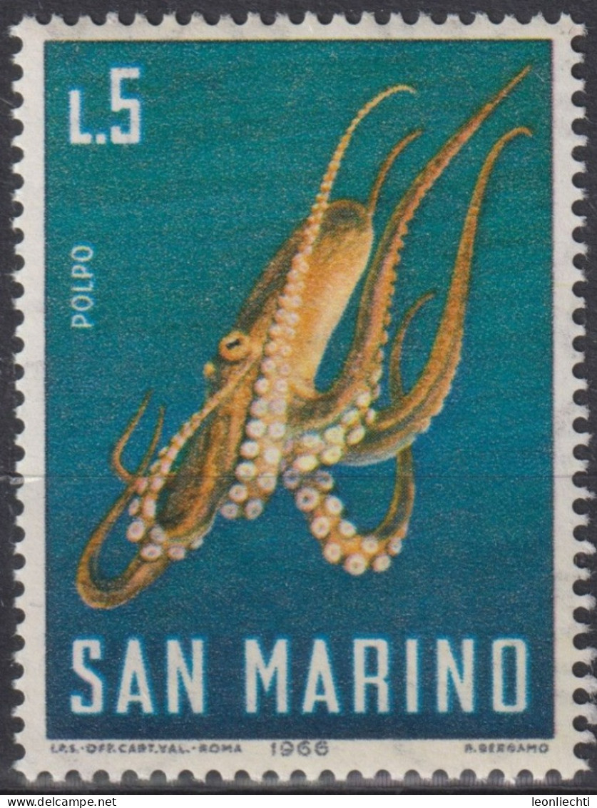 1966 San Marino ** Mi:SM 873, Sn:SM 647, Yt:SM 680, Polpo, Common Octopus (Octopus Vulgaris), Meeresleben - Neufs
