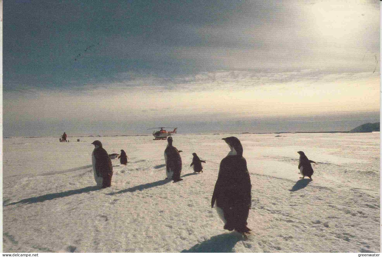 Germany Polarstern Postcard Antarctic Flight From Polarstern To Signy  10.11.1988  (PT161) - Polare Flüge