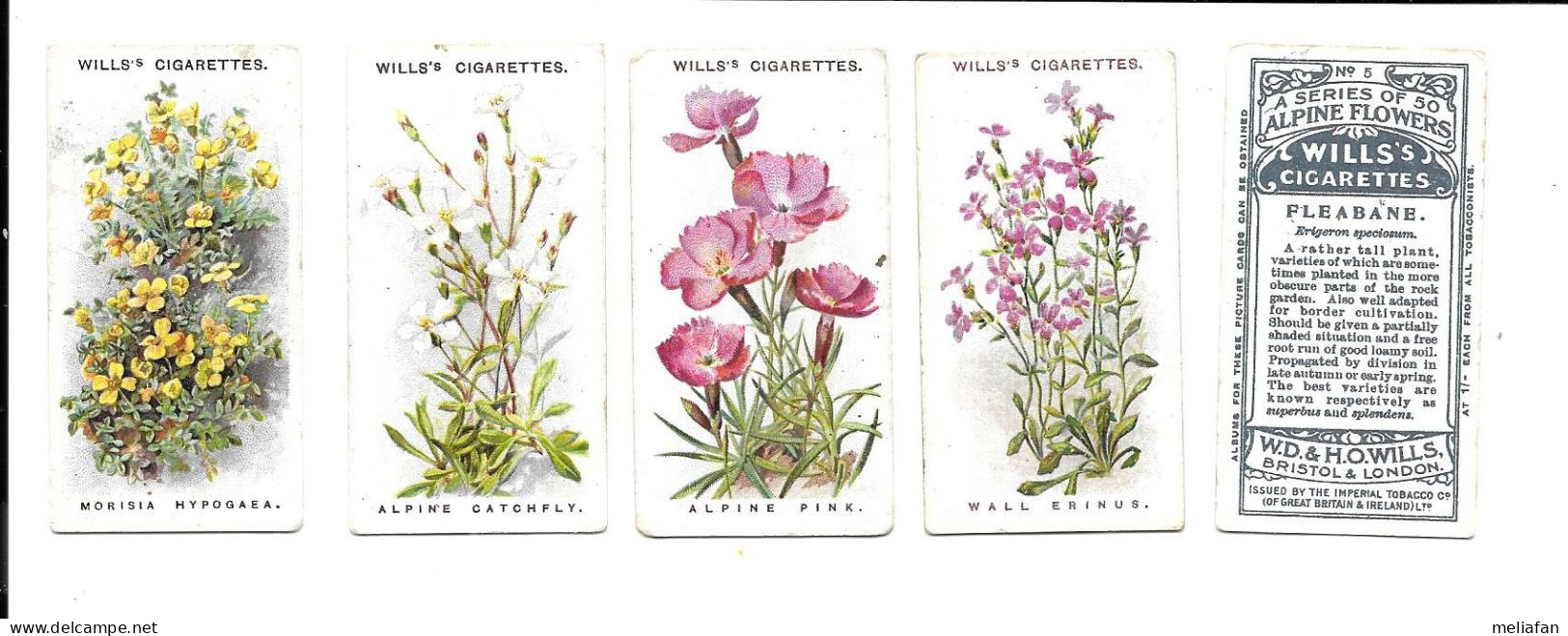 CJ52 - SERIE COMPLETE 50 CARTES CIGARETTES WILLS - ALPINE FLOWERS - Wills