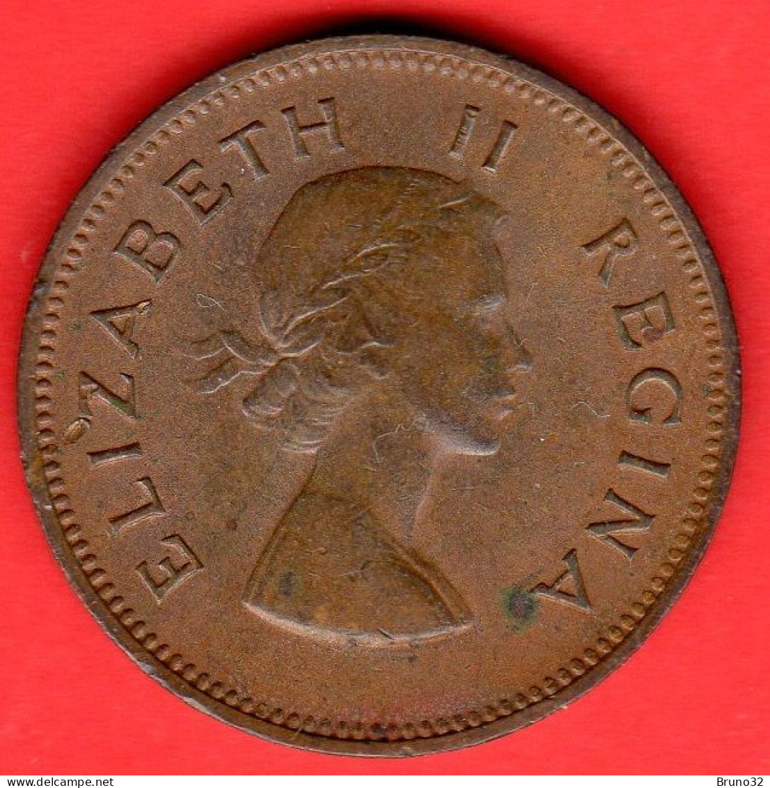 Sud Africa - South Africa - Suid Afrika - 1955 - 1/2 Penny - SPL/XF - Come Da Foto - South Africa